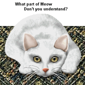 What Part of Meow
